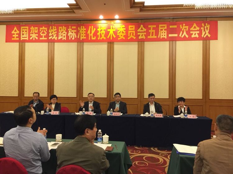 Z6尊龙时凯应邀参与全国架空线路尺度化技术委员会五届二次会议