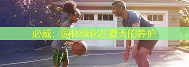 必威：园林绿化在夏天的养护