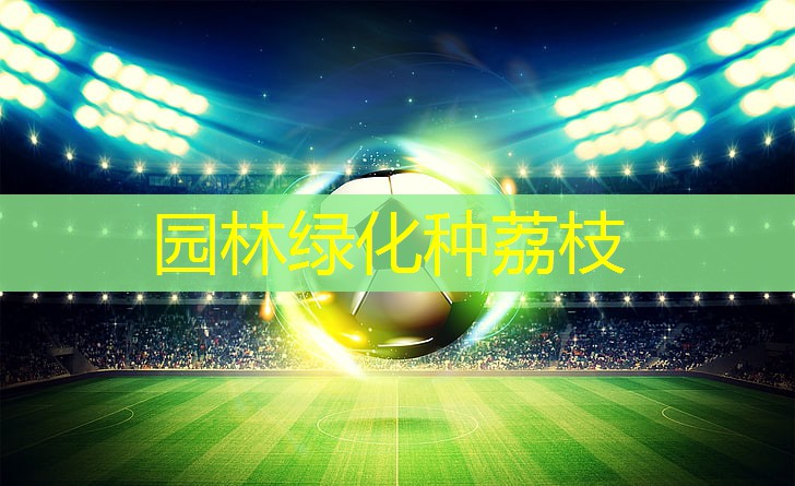 园林绿化种荔枝