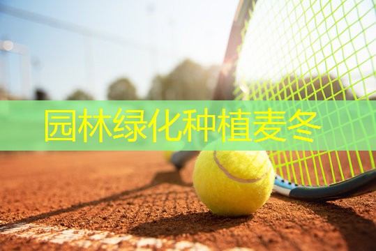 园林绿化种植麦冬
