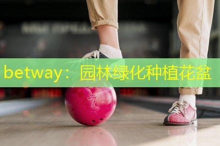 betway：园林绿化种植花盆