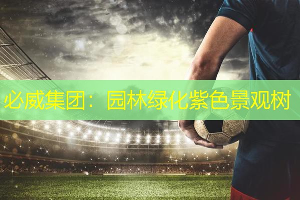 必威集团：园林绿化紫色景观树