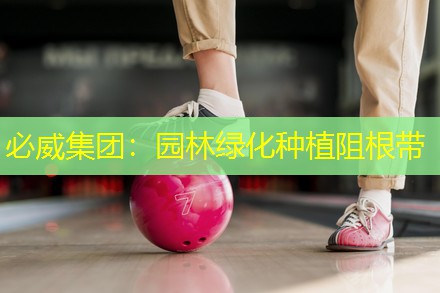 必威集团：园林绿化种植阻根带