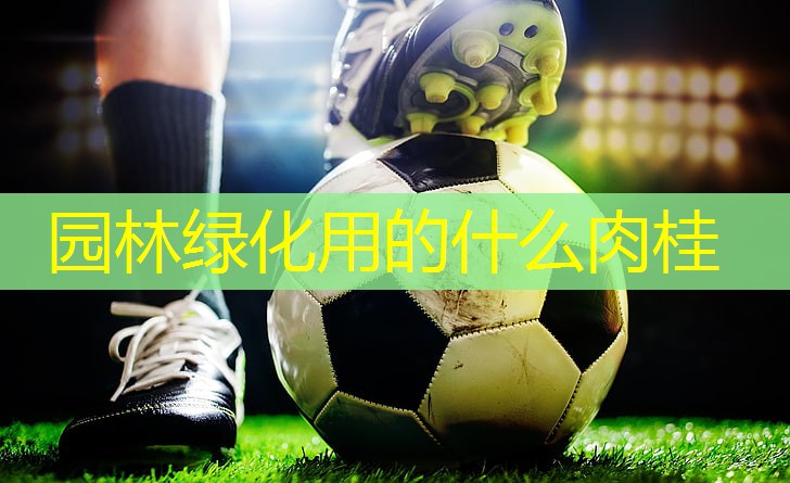 园林绿化用的什么肉桂