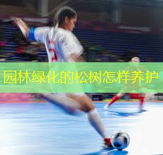 园林绿化的松树怎样养护