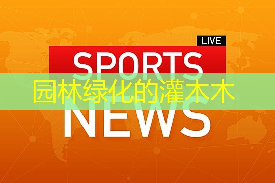 园林绿化的灌木木