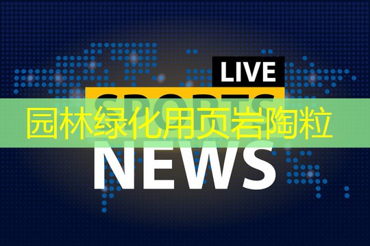 园林绿化用页岩陶粒