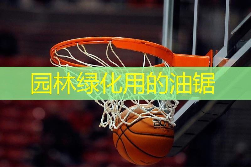 园林绿化用的油锯
