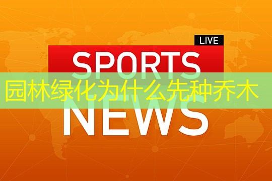 园林绿化为什么先种乔木
