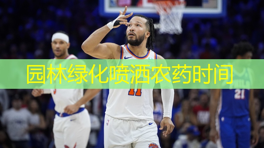 园林绿化喷洒农药时间