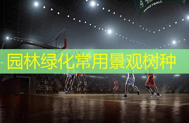 园林绿化常用景观树种