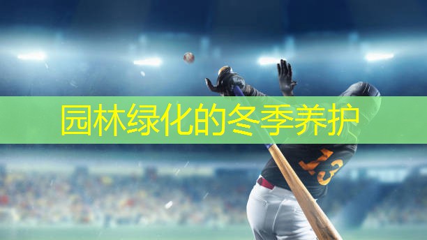 园林绿化的冬季养护