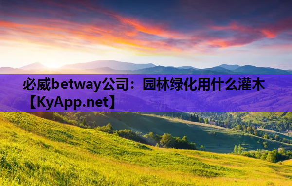 必威betway公司：园林绿化用什么灌木