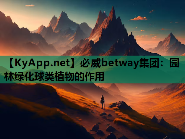 必威betway集团：园林绿化球类植物的作用