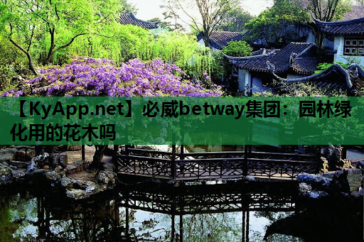 必威betway集团：园林绿化用的花木吗