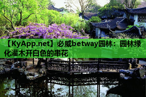 必威betway园林：园林绿化灌木开白色的串花