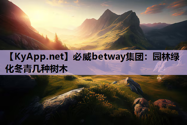 必威betway集团：园林绿化冬青几种树木