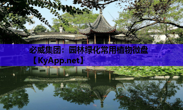 必威集团：园林绿化常用植物微盘