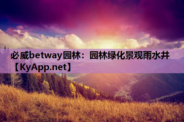 必威betway园林：园林绿化景观雨水井