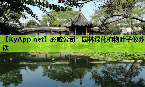 必威公司：园林绿化植物叶子像苏铁
