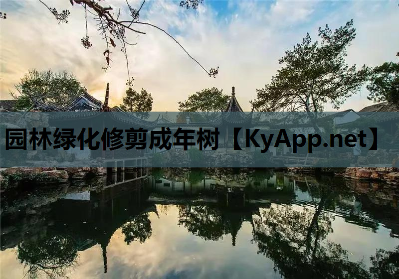 园林绿化修剪成年树