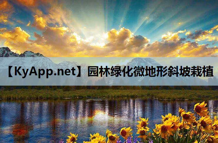 园林绿化微地形斜坡栽植