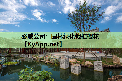 必威公司：园林绿化栽植樱花
