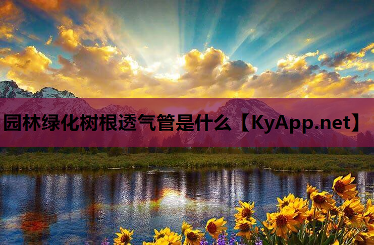园林绿化树根透气管是什么
