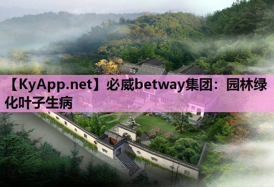 必威betway集团：园林绿化叶子生病