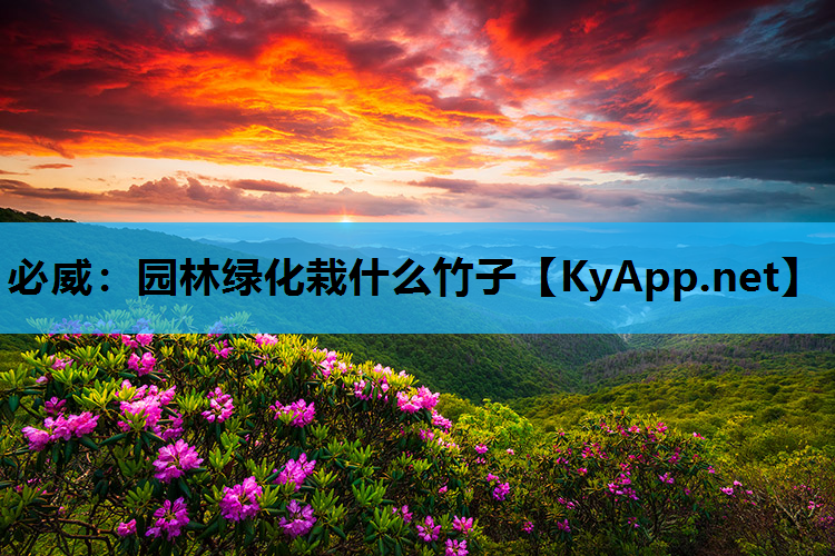 必威：园林绿化栽什么竹子