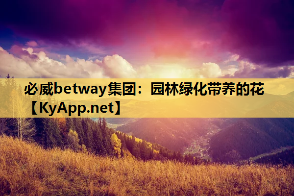 必威betway集团：园林绿化带养的花
