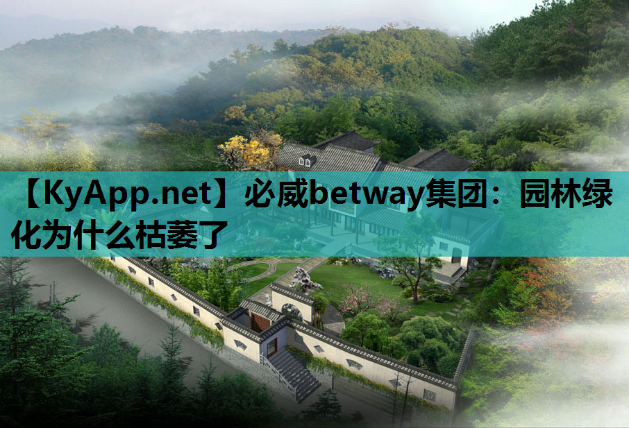 必威betway集团：园林绿化为什么枯萎了