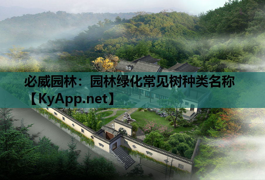 必威园林：园林绿化常见树种类名称