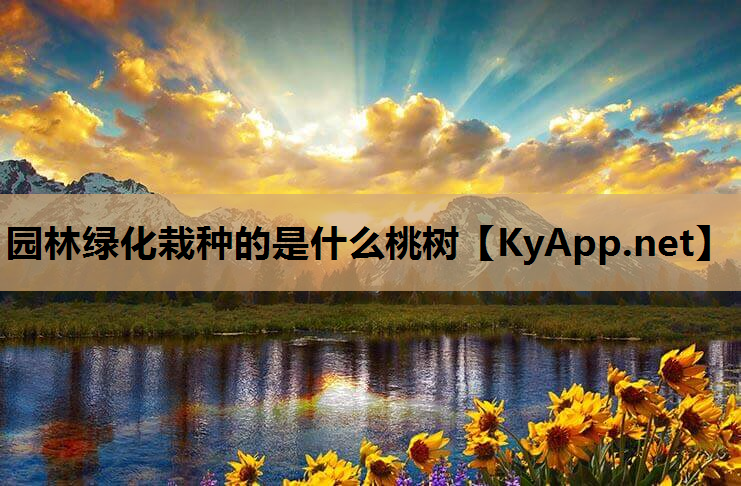 园林绿化栽种的是什么桃树