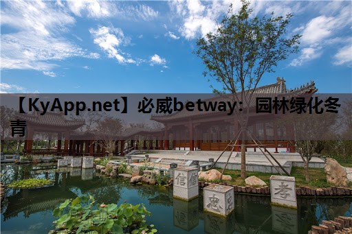 必威betway：园林绿化冬青