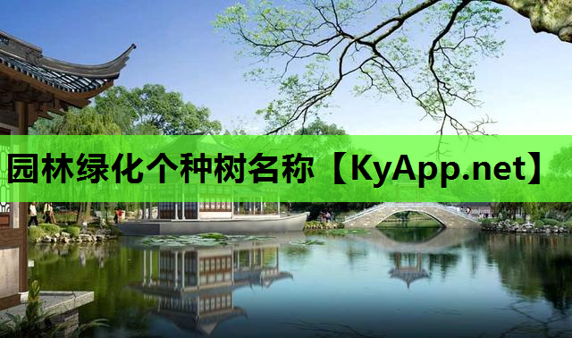 园林绿化个种树名称