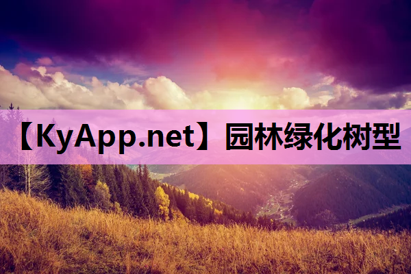园林绿化树型