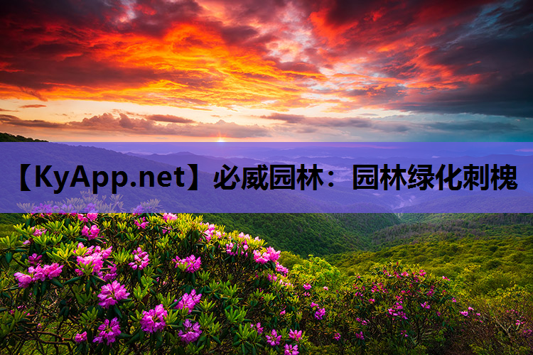 必威园林：园林绿化刺槐