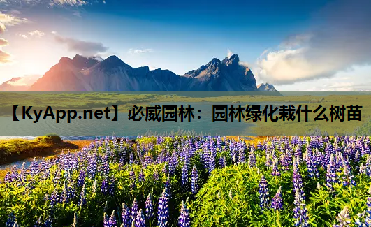 必威园林：园林绿化栽什么树苗