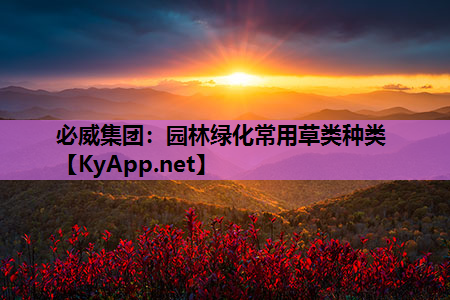 必威集团：园林绿化常用草类种类