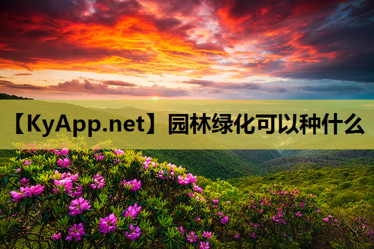 园林绿化可以种什么