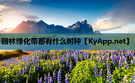 园林绿化带都有什么树种
