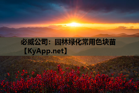 必威公司：园林绿化常用色块苗