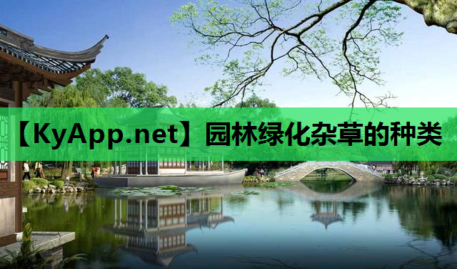 园林绿化杂草的种类