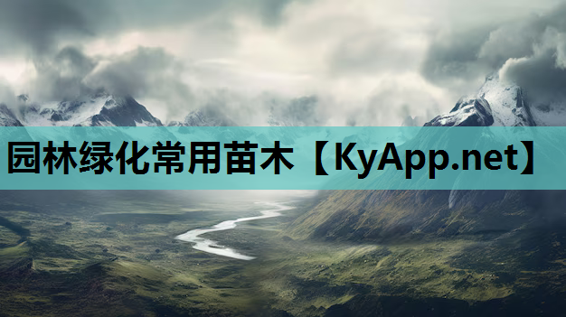 园林绿化常用苗木