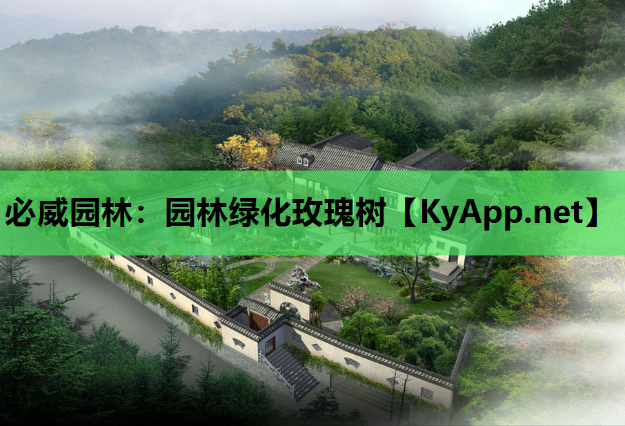 必威园林：园林绿化玫瑰树
