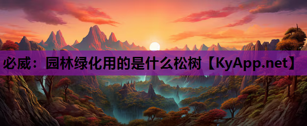 必威：园林绿化用的是什么松树