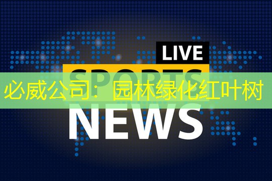 园林绿化红叶树