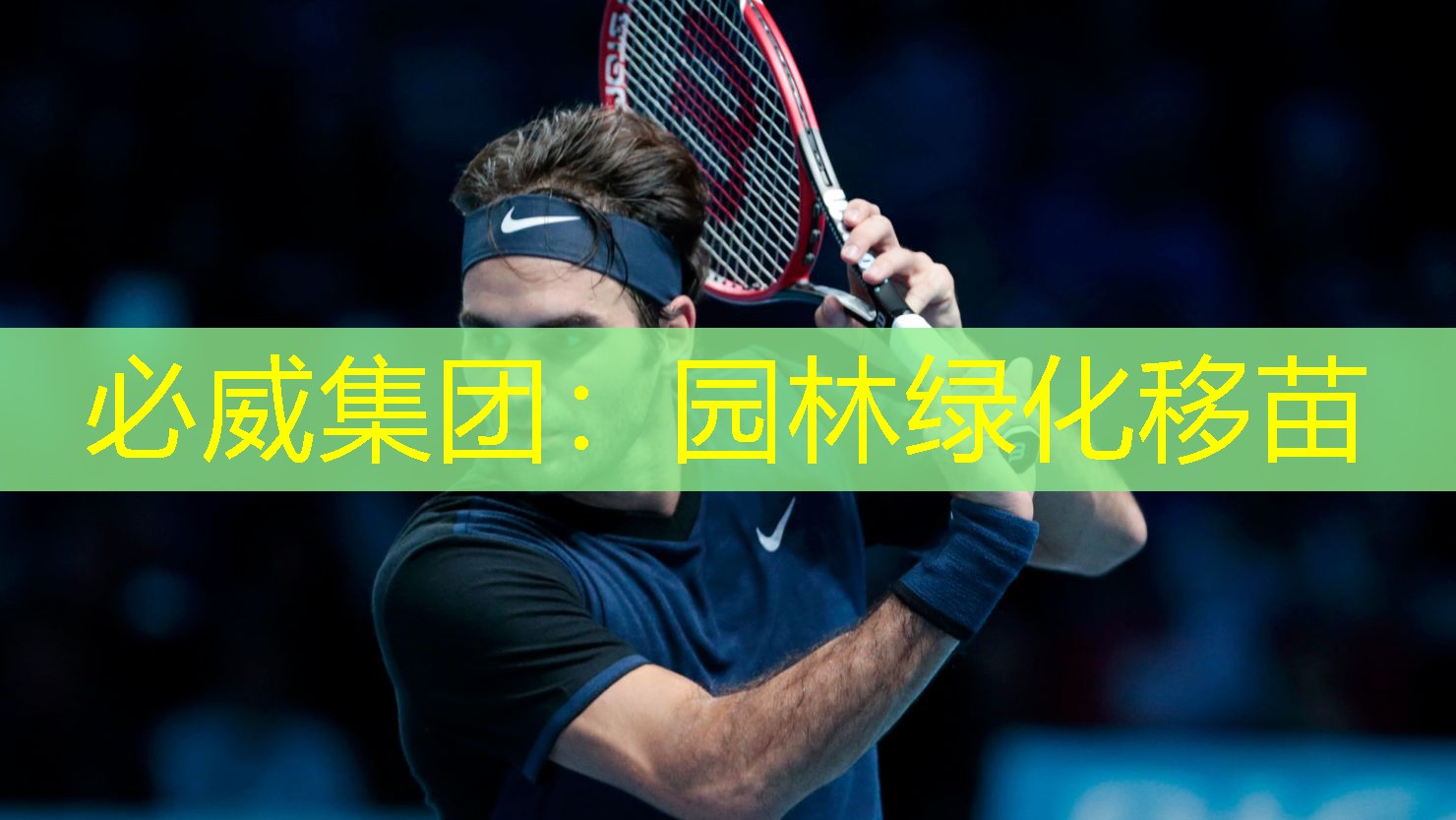 园林绿化移苗