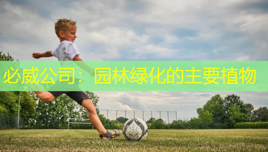 园林绿化的主要植物
